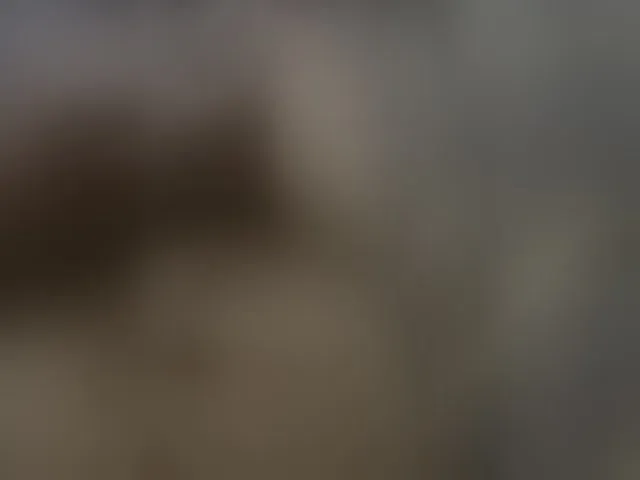 Live sex webcam photo for Max-1990-1 #294060559