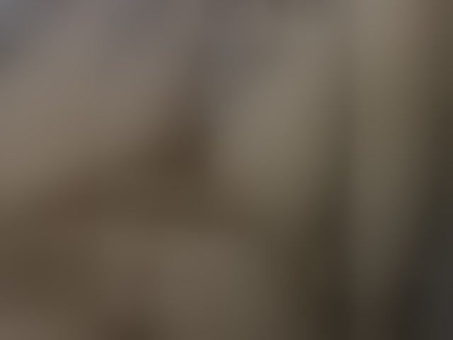 Live sex webcam photo for Max-1990-1 #294092069
