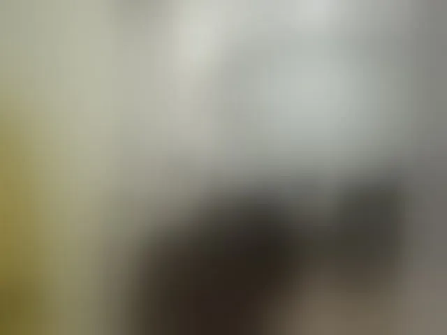 Live sex webcam photo for Max232232 #292432437