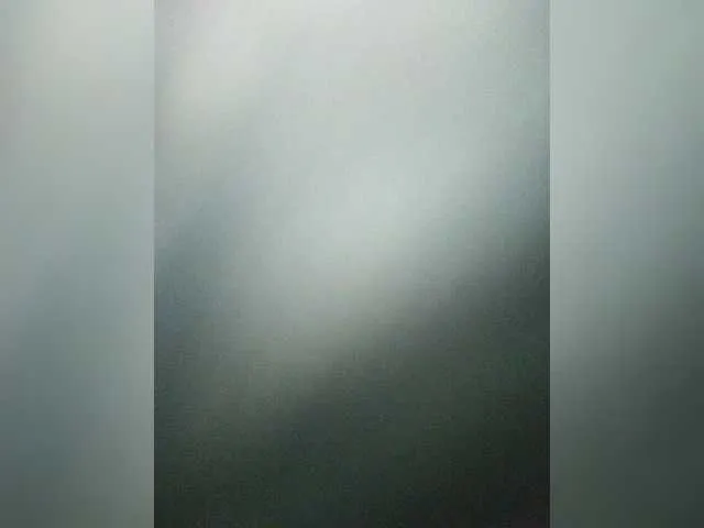 Live sex webcam photo for Max311219830 #285469410