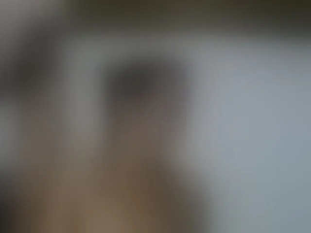 Live sex webcam photo for Maxandabbie #293500029