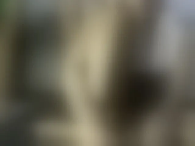 Live sex webcam photo for Maxandabbie #293739908