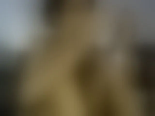 Live sex webcam photo for Maxandabbie #293809686