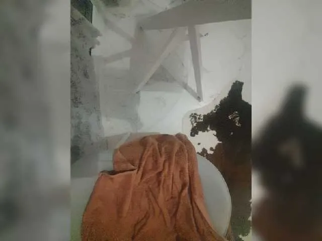 Live sex webcam photo for Maximum88 #278084617