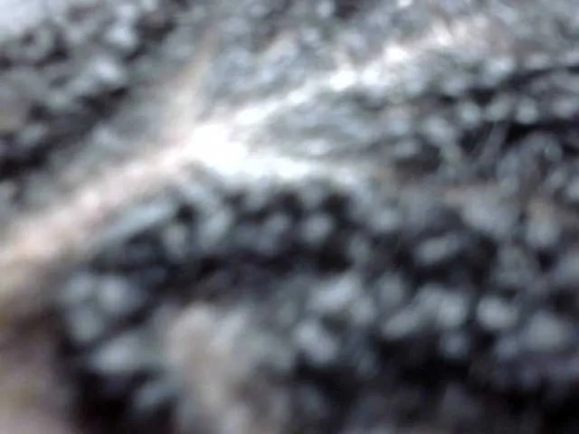 Live sex webcam photo for May-sexy #292294757