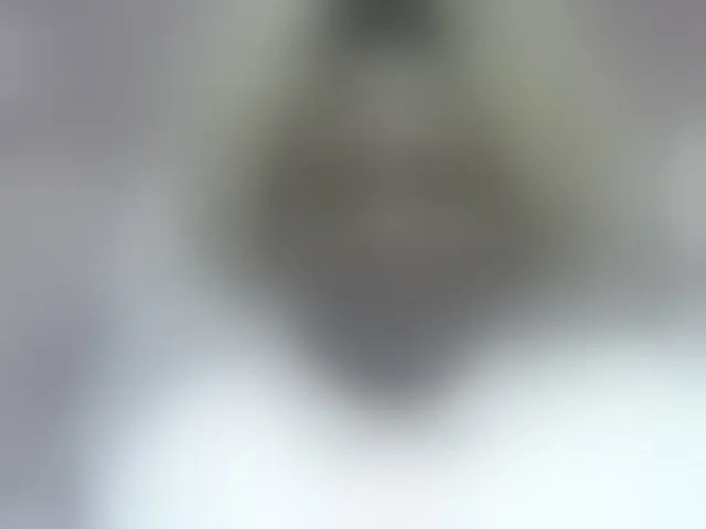 Live sex webcam photo for May-sexy #293126842