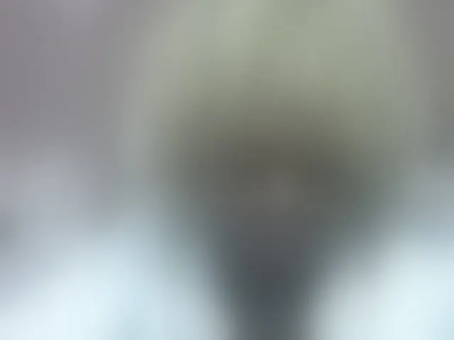 Live sex webcam photo for May-sexy #293148417