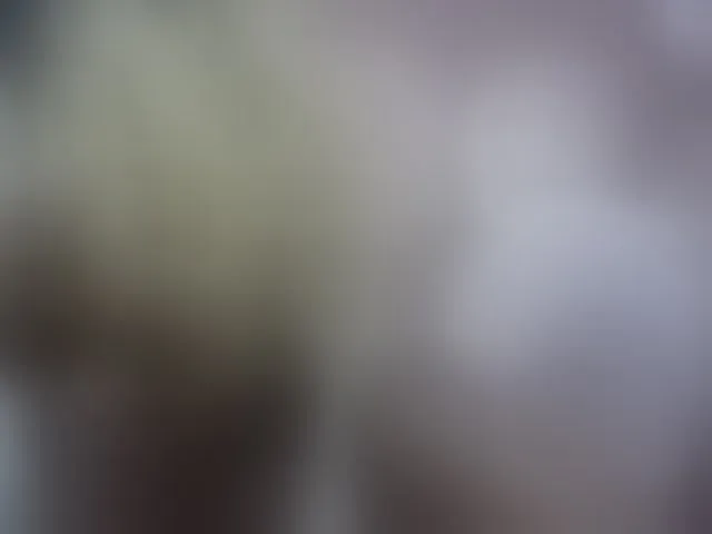 Live sex webcam photo for May-sexy #293206971