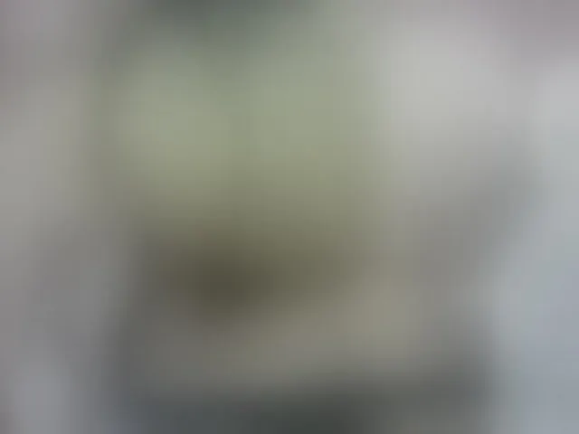 Live sex webcam photo for May-sexy #293228054