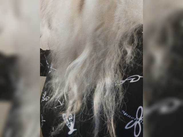 Live sex webcam photo for MayaMonroe #277958487