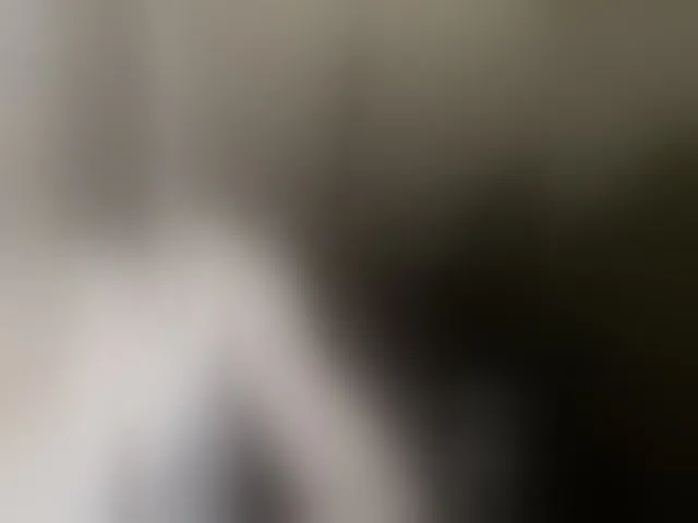 Live sex webcam photo for Mazalane #293555805