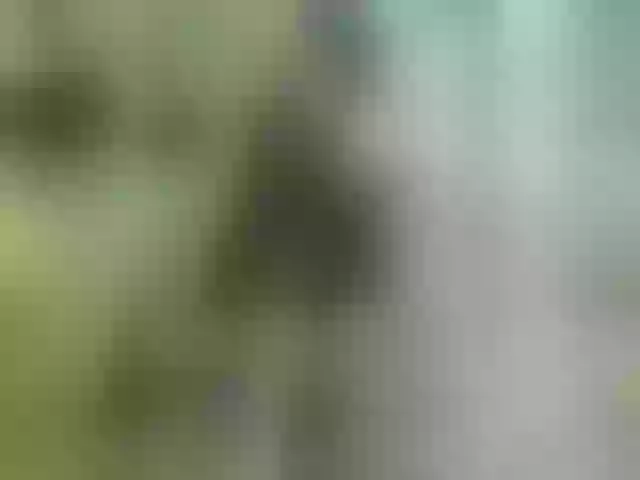 Live sex webcam photo for MazyMi #277716521