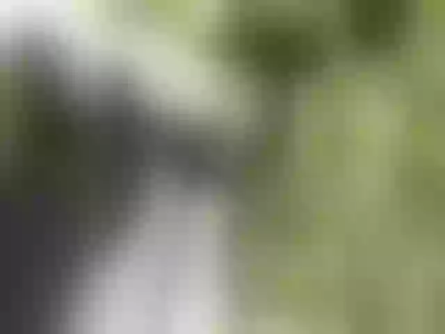Live sex webcam photo for MazyMi #277749954