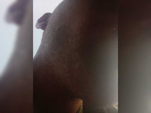 Live sex webcam photo for MeXaNiZaToR96 #276022467