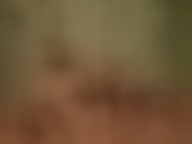 Live sex webcam photo for Meeeeow #292854613