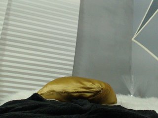 Live sex webcam photo for Meegan-Stone #211529123