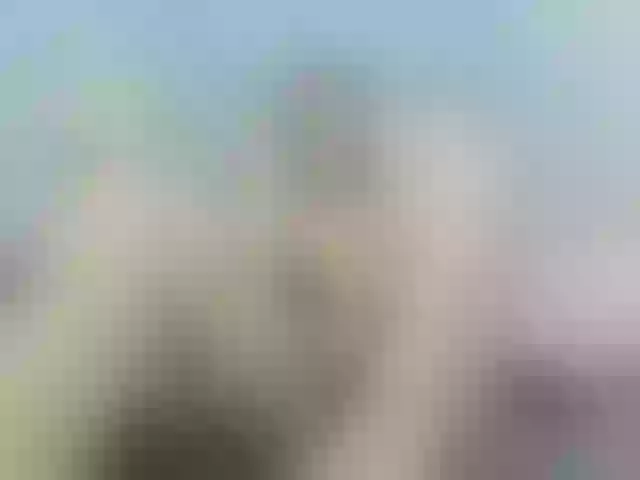 Live sex webcam photo for Megan-Ros #276098859