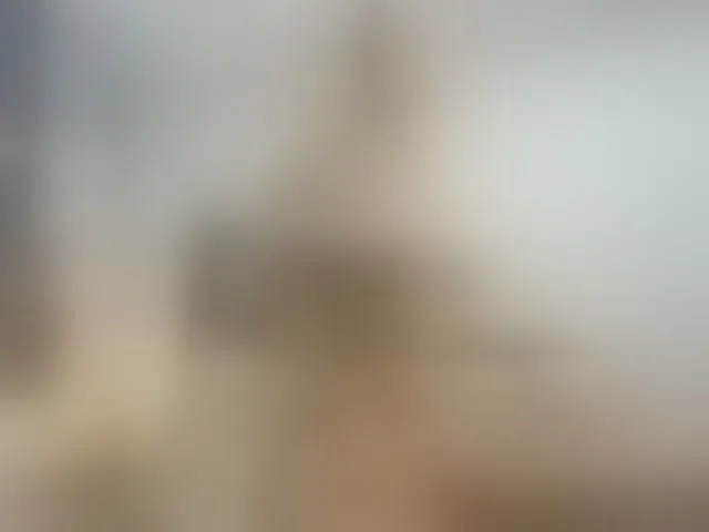 Live sex webcam photo for Megan-Ros #276317670