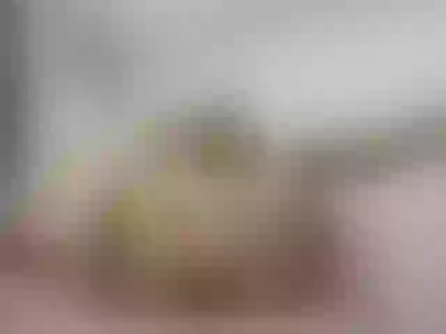 Live sex webcam photo for Megan-Ros #276332644