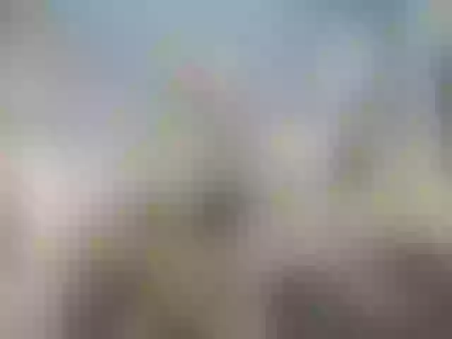 Live sex webcam photo for Megan-Ros #276562306