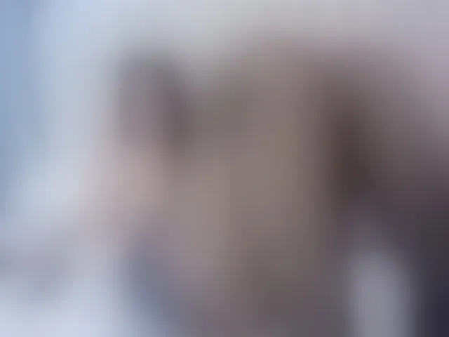 Live sex webcam photo for Megan-foxxx #293976603