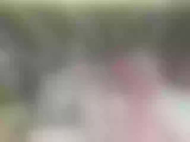 Live sex webcam photo for MeganAndMax #273860685