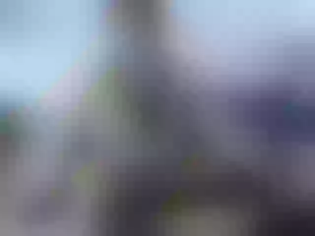 Live sex webcam photo for Meganny2022 #288028493