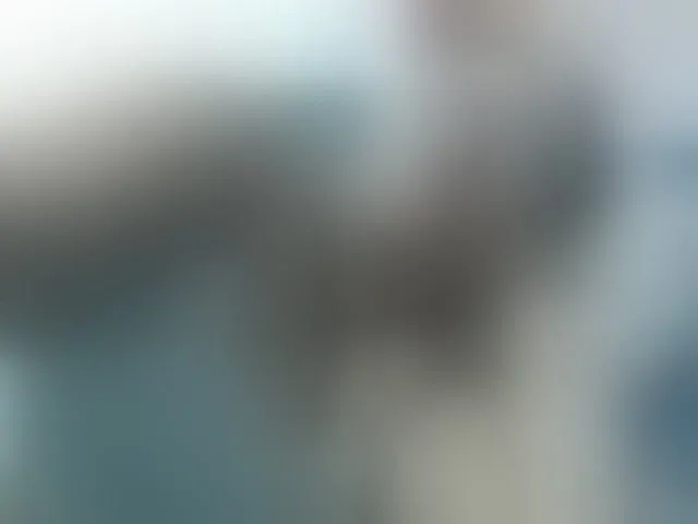 Live sex webcam photo for Meganny2023 #293367508