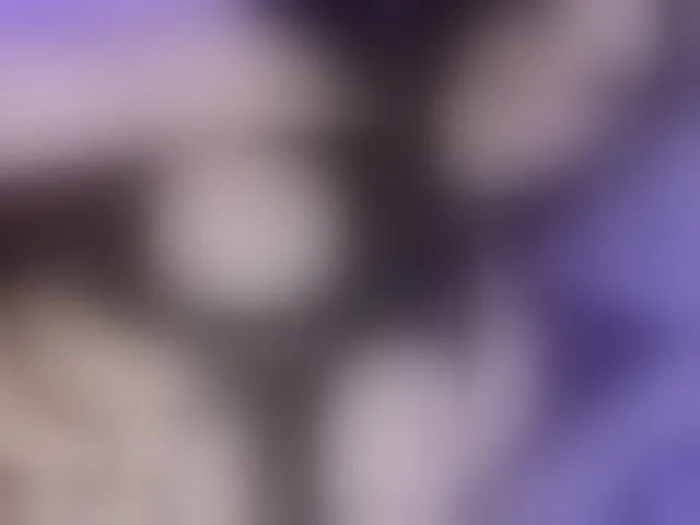 Live sex webcam photo for Megansweett1 #293161925