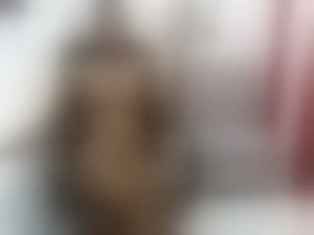 Live sex webcam photo for MeghanBratz #273108807