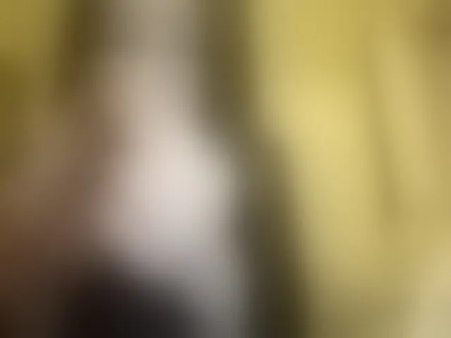 Live sex webcam photo for MeghanEberting #292619138