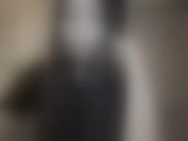 Live sex webcam photo for MeghanEberting #293232768