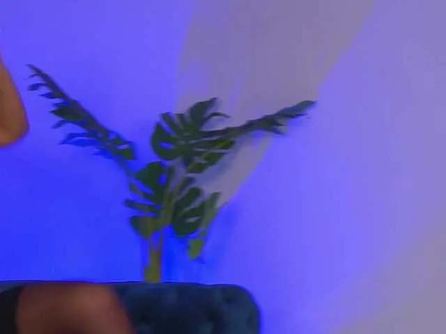 Live sex webcam photo for MeghanHazel #291350354