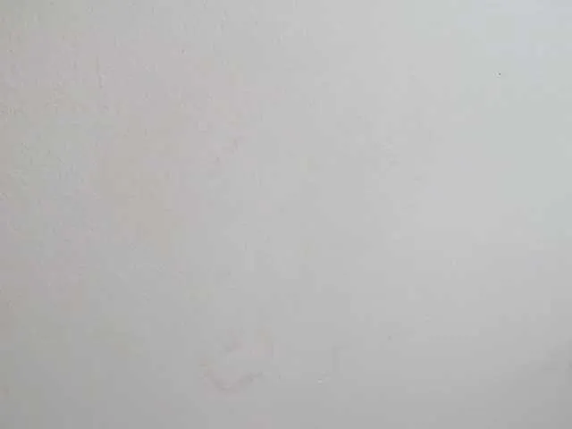 Live sex webcam photo for Melani-Dream #274207004