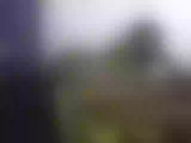 Live sex webcam photo for Melaniegoddess #291863113