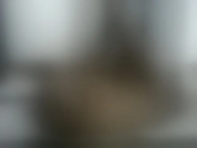 Live sex webcam photo for Melaniegoddess #291880390