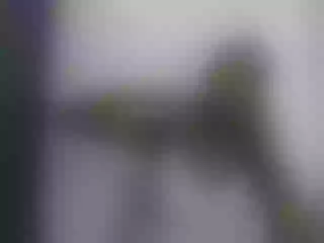 Live sex webcam photo for Melaniegoddess #292097097