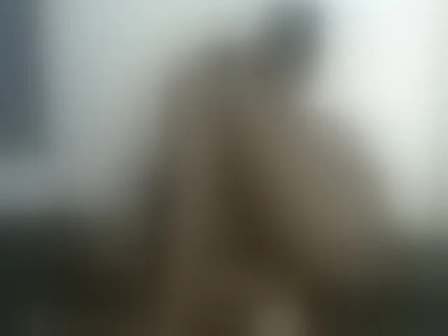Live sex webcam photo for Melaniegoddess #292165589