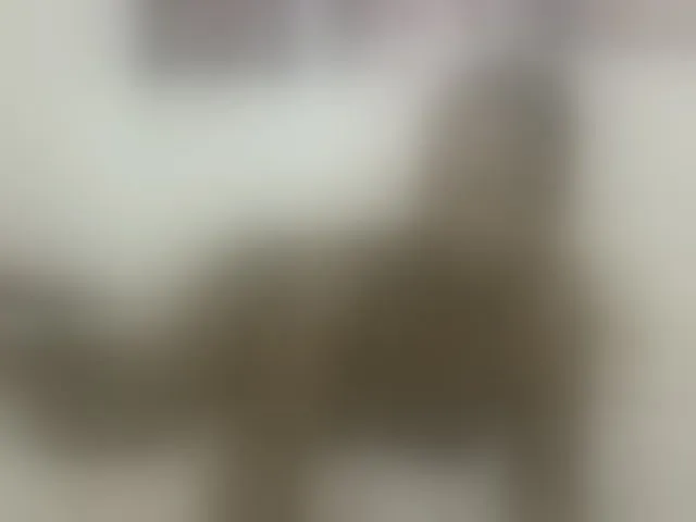 Live sex webcam photo for Melaniegoddess #292426132