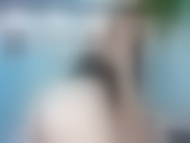 Live sex webcam photo for MeliissaAdams #291379054