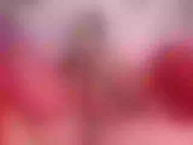 Live sex webcam photo for MeliissaAdams #292050434