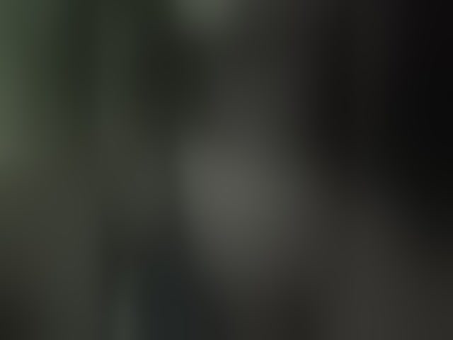Live sex webcam photo for MeliissaVelez #294110582