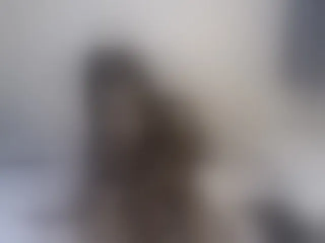 Live sex webcam photo for Melisaklein #291333128