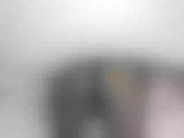Live sex webcam photo for Melisaklein #291688139