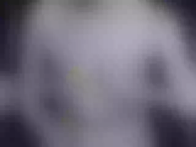Live sex webcam photo for MelissaKent #273727210