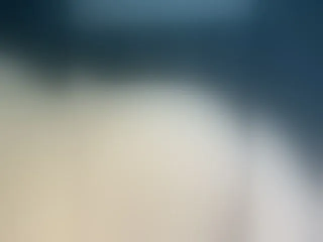 Live sex webcam photo for MelodyFox #293428614