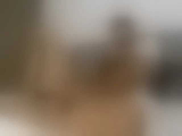 Live sex webcam photo for Memphis-lk #277874329