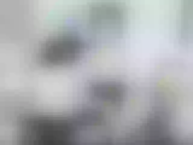 Live sex webcam photo for Meows2 #276704738