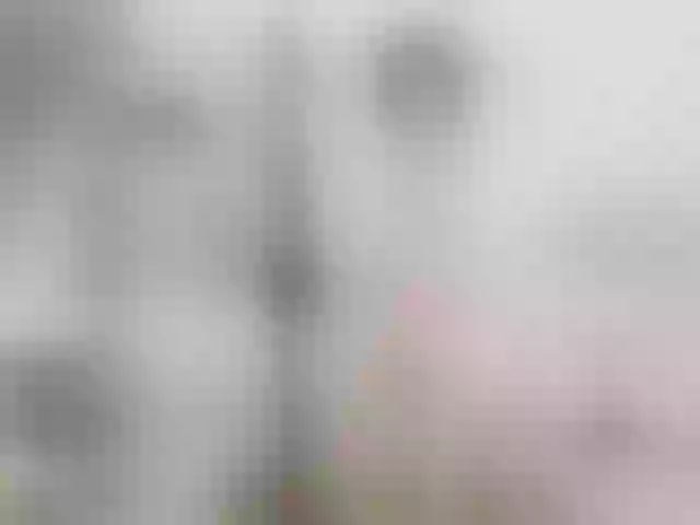 Live sex webcam photo for Meows2 #276963753