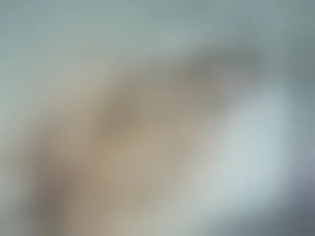 Live sex webcam photo for MerandaBlosom #292334312